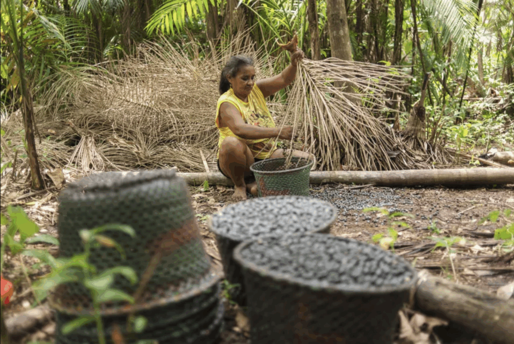 Bioeconomia deve se tornar motor do desenvolvimento até 2035, diz governo